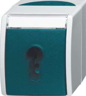 ABB Busch-Jaeger - Ocean Installatieschakelaar Schak Sleut 2733Slw-53 Oce