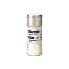 Schneider Electric - Cilindrische zekering Buisveiligh Df2Fn63 Ds10