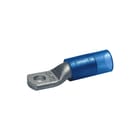Klauke - Perskabelschoen voor koperkabel 800018154 Ds25
