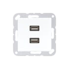 Jung - AS500 Multifunctionele verbindingsdoos Afd Alp 2Xusb