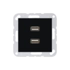 Jung - A RANGE Multifunctionele verbindingsdoos Afd A500 Zwart 2Xusb