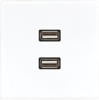 Jung - LS RANGE Multifunctionele verbindingsdoos Afd Ls990 Alp 2Xusb