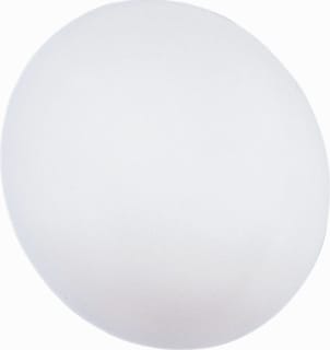 RZB - Flat Polymero IP44 PC Plafond-/wandarmatuur 60W