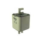 Eaton - Bussmann Smeltpatroon (mes) smeltpatr 170m6149