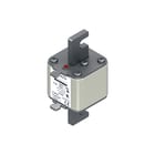 Eaton - Bussmann Smeltpatroon (mes) smeltpatr 170m4310