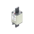 Eaton - Bussmann Smeltpatroon (mes) smeltpatr 170m4199
