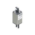 Eaton - Bussmann Smeltpatroon (mes) smeltpatr 170m3195
