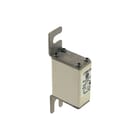 Eaton - Bussmann Smeltpatroon (mes) smeltpatr 170m1319