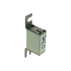 Eaton - Bussmann Smeltpatroon (mes) 170M1373