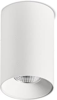 Norton - OBD Opbouw downlight Downlight/spot/schijnwerper obd-w 93 2000l wi 60 d100