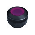 Grothe - Beldrukker INSCHRCNT PROTACT 100LED