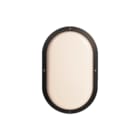 DEFA - Protect 002 Plafond-/wandarmatuur 002   a2014152