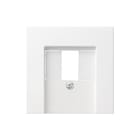 Gira - Systeem 55 Inzetplaat schakelmateriaal Inzpl 1/2 Ldsp/Usb Zwg 55