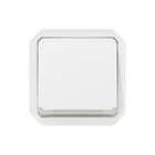 Legrand - Plexo Installatieschakelaar wissel verl mech w