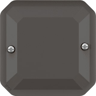Legrand - Plexo Blindplaat drukknop/signaallamp blindplaat ip55 ant
