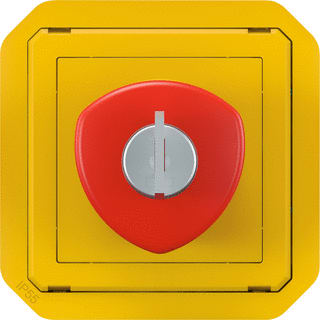 Legrand - Plexo Noodstop compleet Sltl Ng-No