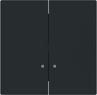 ABB Busch-Jaeger - Art Bed.element / centr.pl. schakelmat. Bedieningswip 1785 K-45M