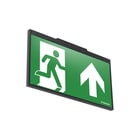 Van Lien - Evago Noodverlichtingsarmatuur decentraal 4w z opb 32