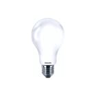 Philips - CorePro LED bulb LED-lamp Nd120W E27 865Frg