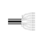 Belden - NETWORK CAT5E UTP PVC TWIN Data- en communicatiekabel Cat5E Utp Twin1667E Ha500
