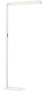SLV - Worklight Staande lamp workl p st w 100w4k
