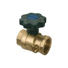 Raminex - S.28 Kogelafsluiter kogelkr dn32 1 1/4bi