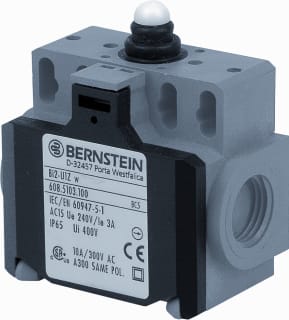 Bernstein - Eindschakelaar Eindschak Biggy Bi2-U1Z W