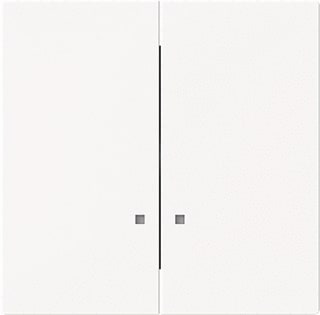 ABB Busch-Jaeger - Art Bed.element / centr.pl. schakelmat. 2cka001751a3306
