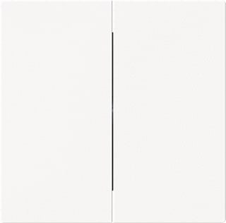 ABB Busch-Jaeger - Art Bed.element / centr.pl. schakelmat. 2Cka001751A3386