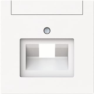 ABB Busch-Jaeger - Art Inzetplaat schakelmateriaal 2Cka001710A4220