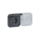 Legrand - Radiofrequent ontvanger schakelmat. plexo wn wcd 2 antr