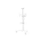 Neomounts - Audio-/Video-houder Vidkit Cam&Av Adapt825Wh1