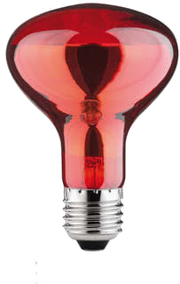 Paulmann - IR-lamp Reflectorlamp R80 60W E27