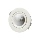 Prolumia - Downlight/spot/schijnwerper 42180031