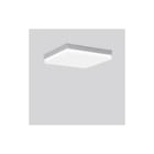 RZB - Flat Slim Square Plafond-/wandarmatuur  312539.004