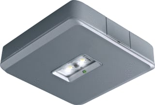 Van Lien - Evago DWO Noodverlichtingsarmatuur Evago-Dwo/Alu