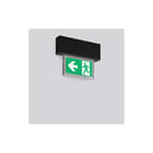 RZB - Halyxx Noodverlichtingsarmatuur  671503.003.1