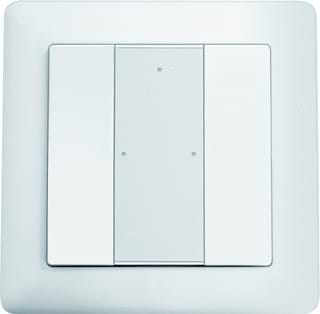 ESYLUX - Tastsensor bussysteem Push Button X2 Dali-2 Wh