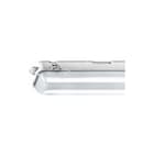 Norton - WDO Waterdicht led armatuur Plafond-/wandarmatuur 84 3700 1550dal rvs
