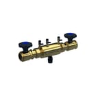Raminex - TBE Terugstroombeveiliging Dn50 Pn10 Ba 2Kk