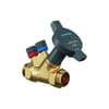 Miniatuur 1