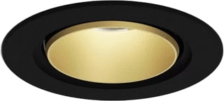 Delta Light - PLAT-OH! Downlight/spot/schijnwerper b-gc inbspot zw