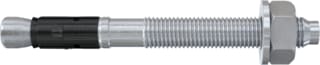 Fischer - Ankerbout fazii+ 24/30 ev 24x205 ds5