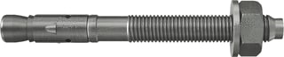 Fischer - Ankerbout Fazii+ 6/10 R 6X65 Ds50