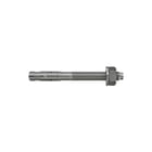 Fischer - Ankerbout Fazii+ 8/10 Hcr 8X75 Ds10