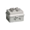 Miniatuur 1