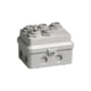 Miniatuur 1