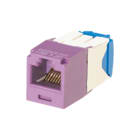 Panduit - Mini-Com TG Modulaire connector Cj Utp C6A 10G Paars