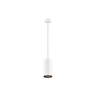 SLV - Numinos Pendelarmatuur dal xl pendel wi/zw 2700k