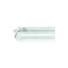 Norton - WDO Waterdicht led armatuur Plafond-/wandarmatuur Wdo84 1550 Rvs-Ovl Nd Dvb